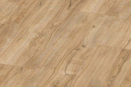 dezen 329 890din (1)